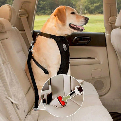 Adjustable Travel Safe Dog Harness