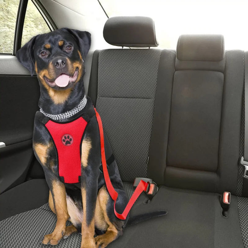 Adjustable Travel Safe Dog Harness