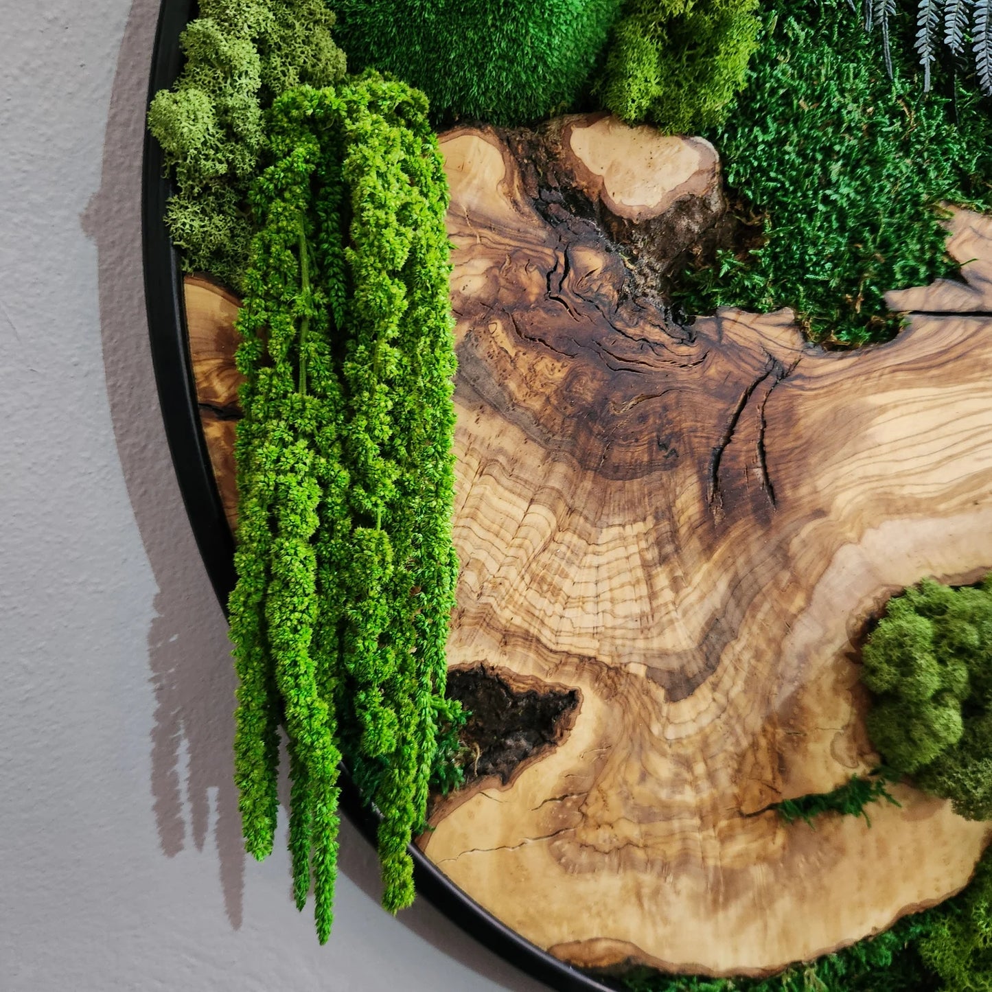 Moss and Olive Wood Wall Art