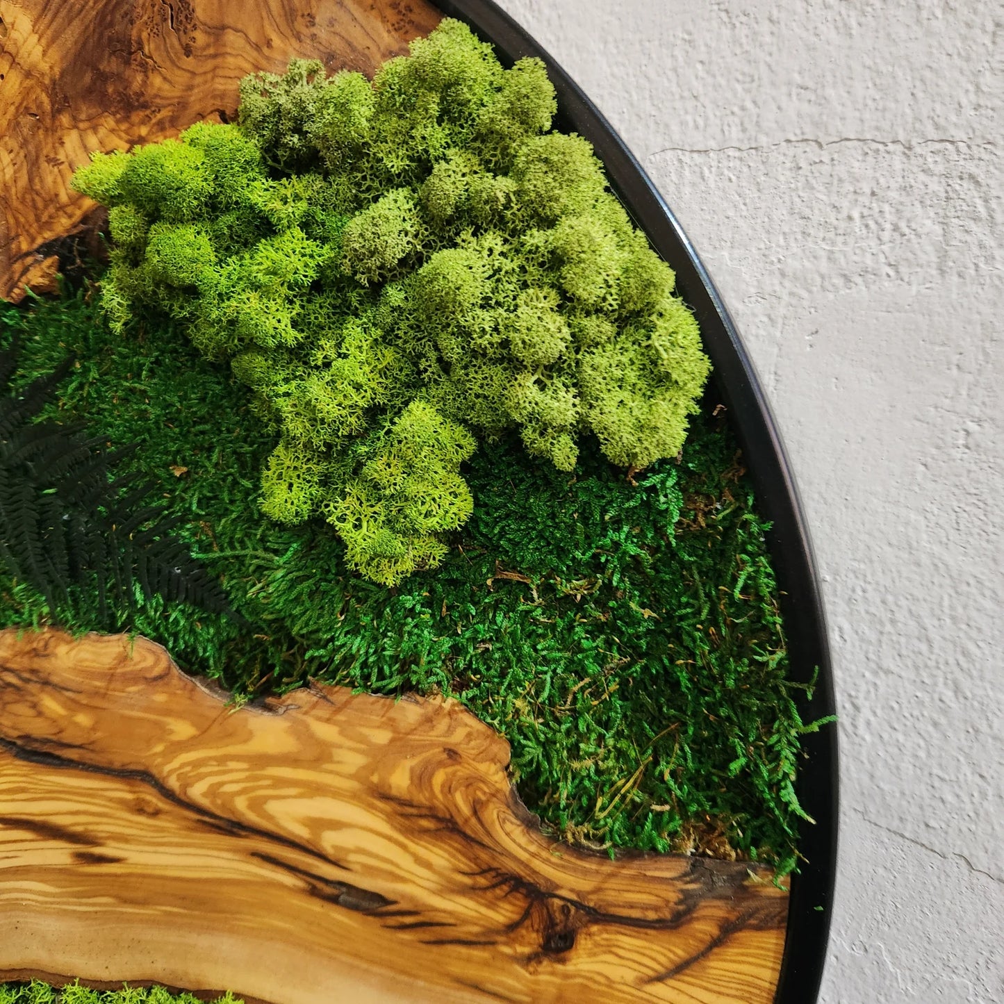 Moss and Olive Wood Wall Art