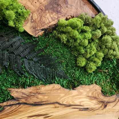 Moss and Olive Wood Wall Art