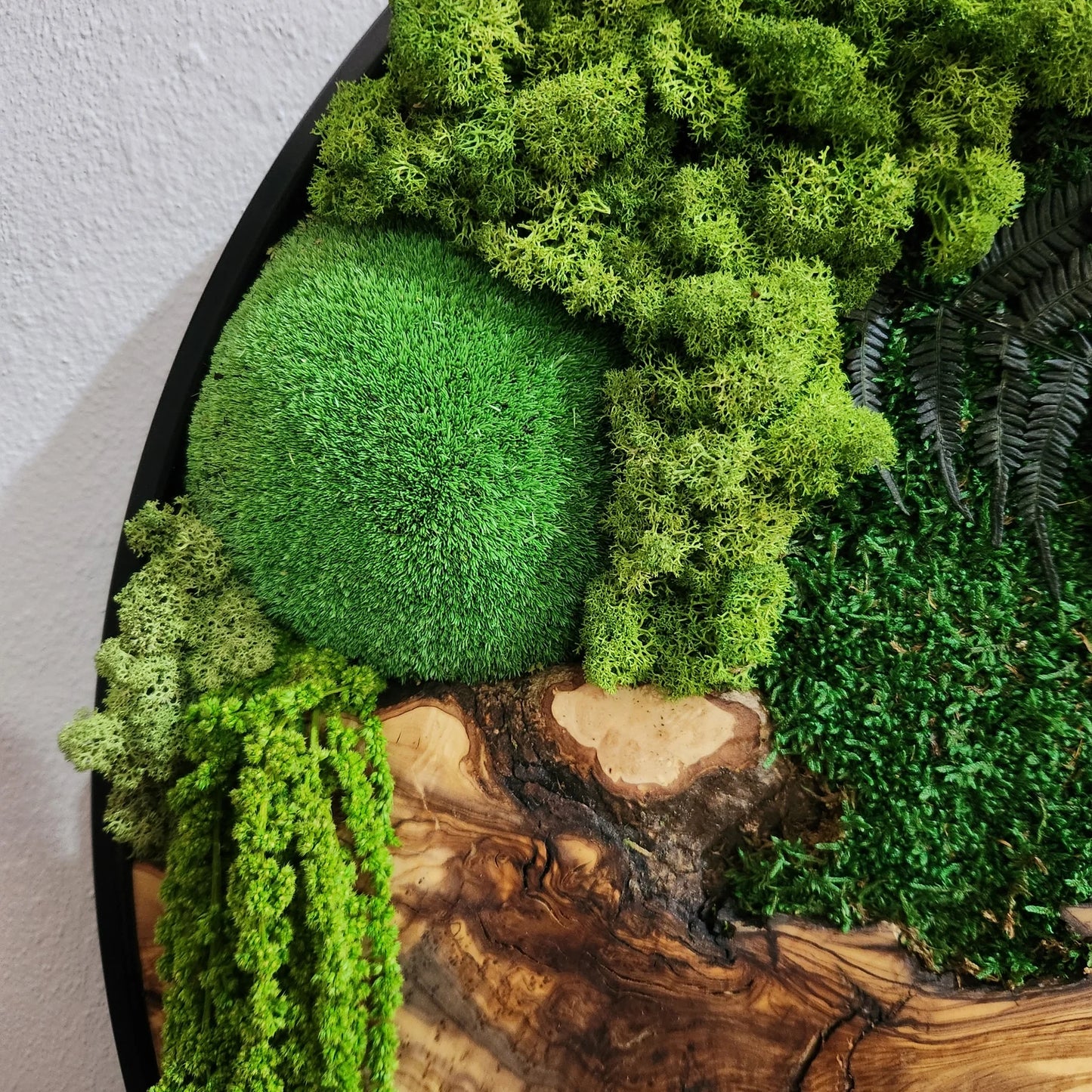 Moss and Olive Wood Wall Art