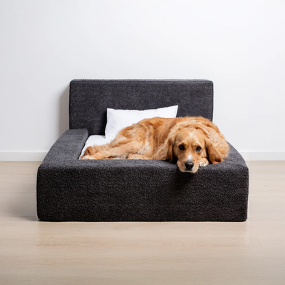 The 'Human' Dog Bed