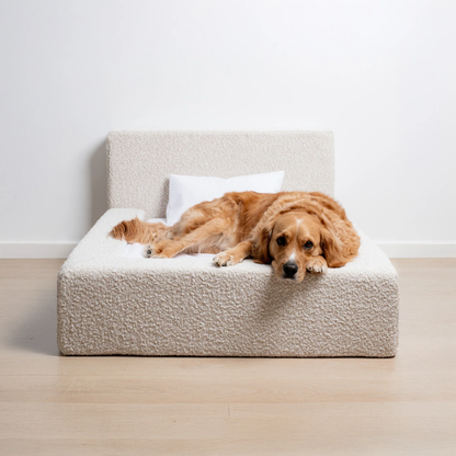 The 'Human' Dog Bed