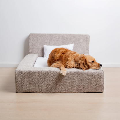 The 'Human' Dog Bed