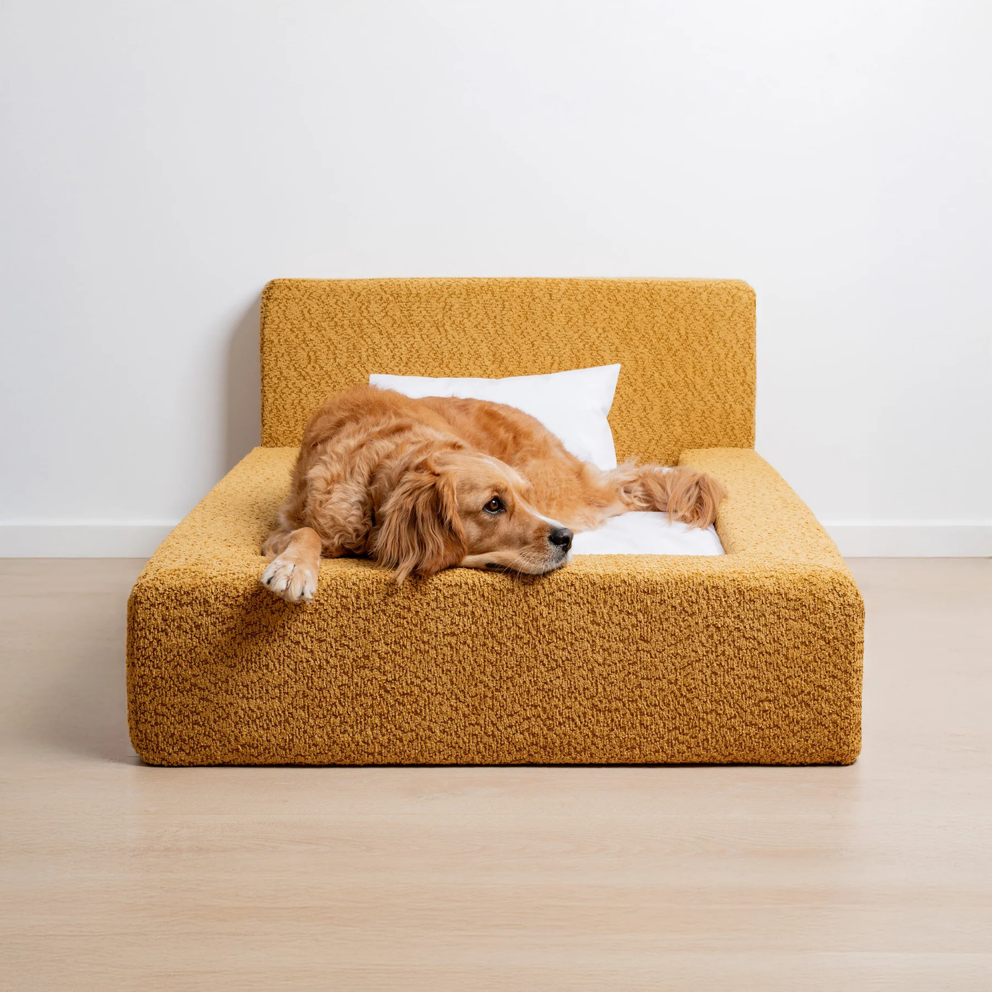 The 'Human' Dog Bed