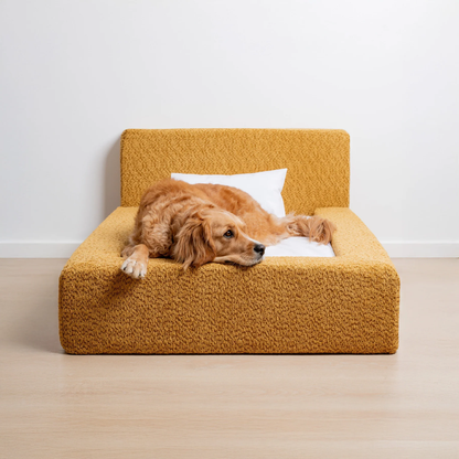 The 'Human' Dog Bed