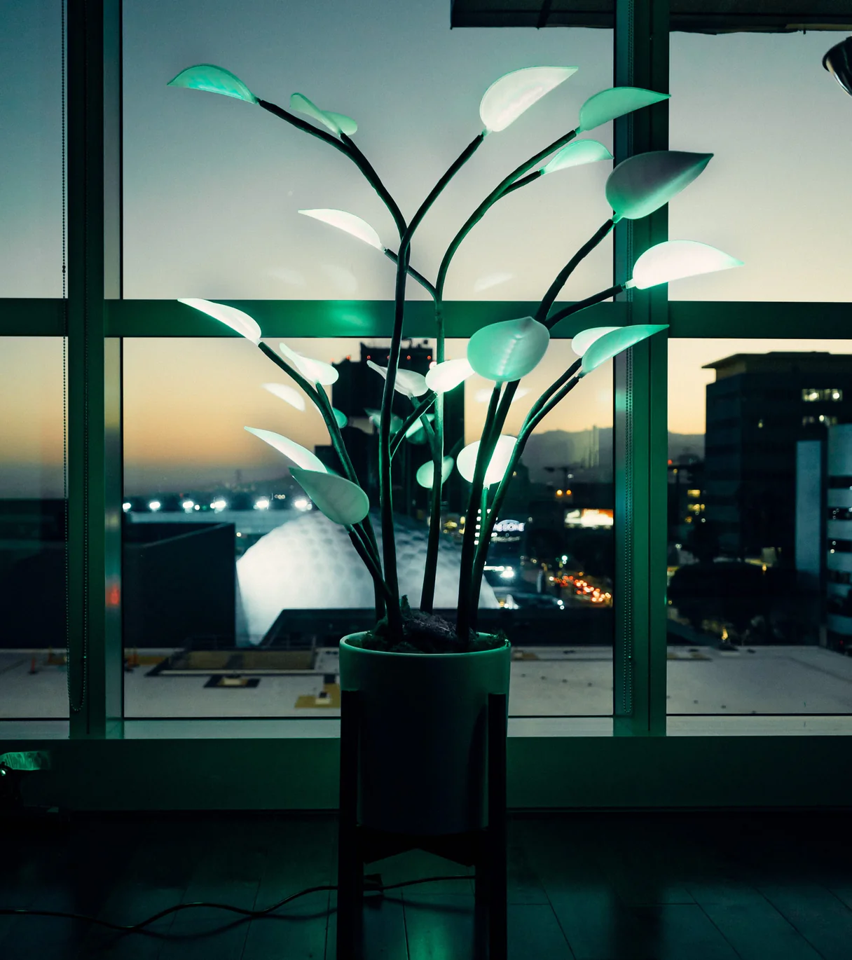 3D Interactive LED Floor Plant