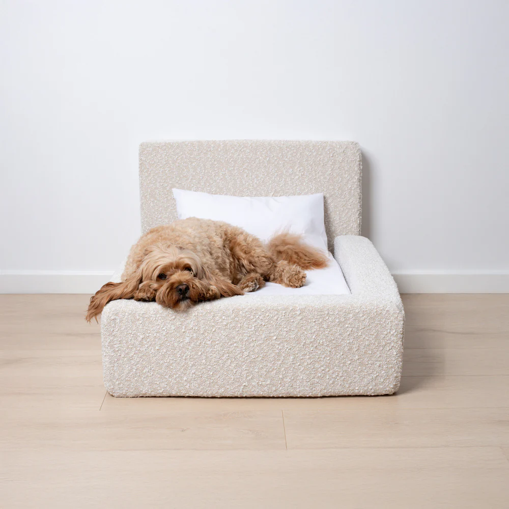 The 'Human' Dog Bed