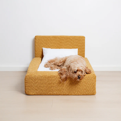 The 'Human' Dog Bed