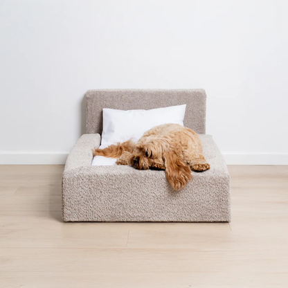 The 'Human' Dog Bed