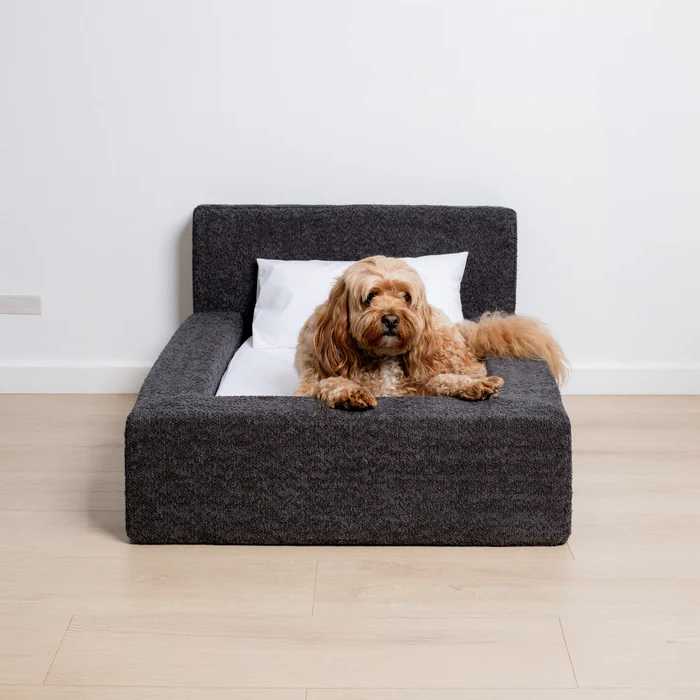 The 'Human' Dog Bed