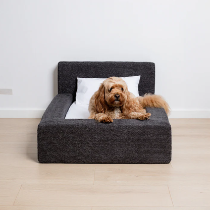 The 'Human' Dog Bed