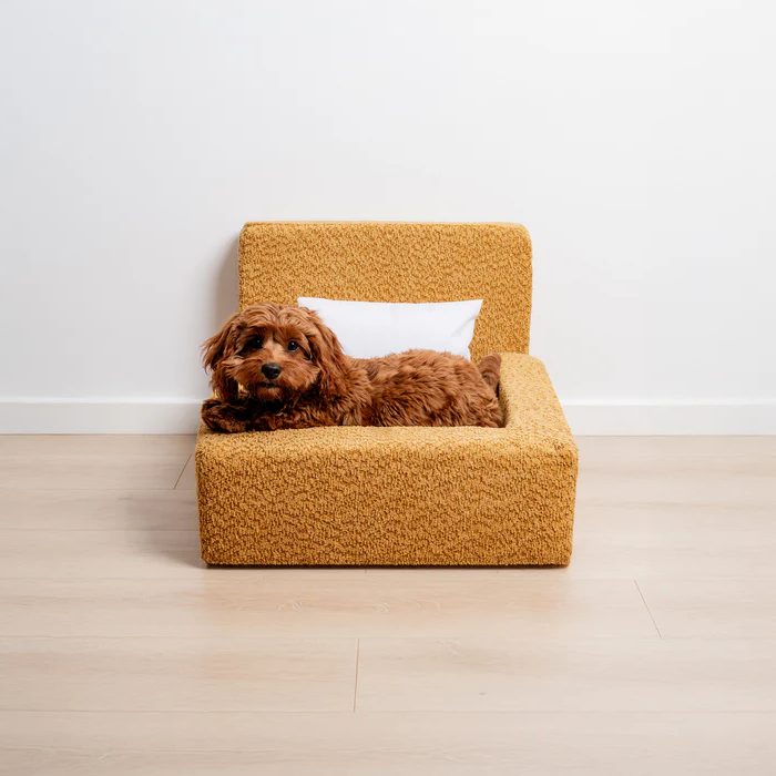 The 'Human' Dog Bed