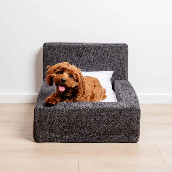 The 'Human' Dog Bed