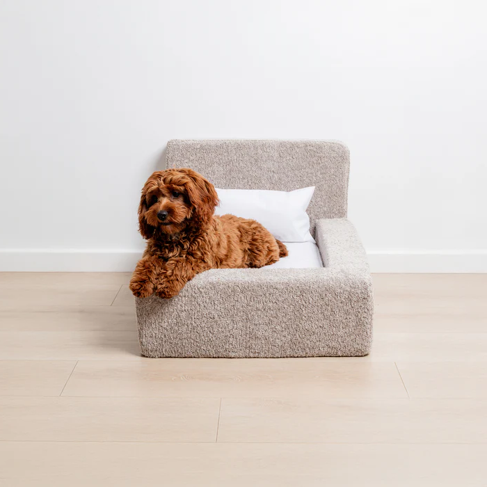 The 'Human' Dog Bed